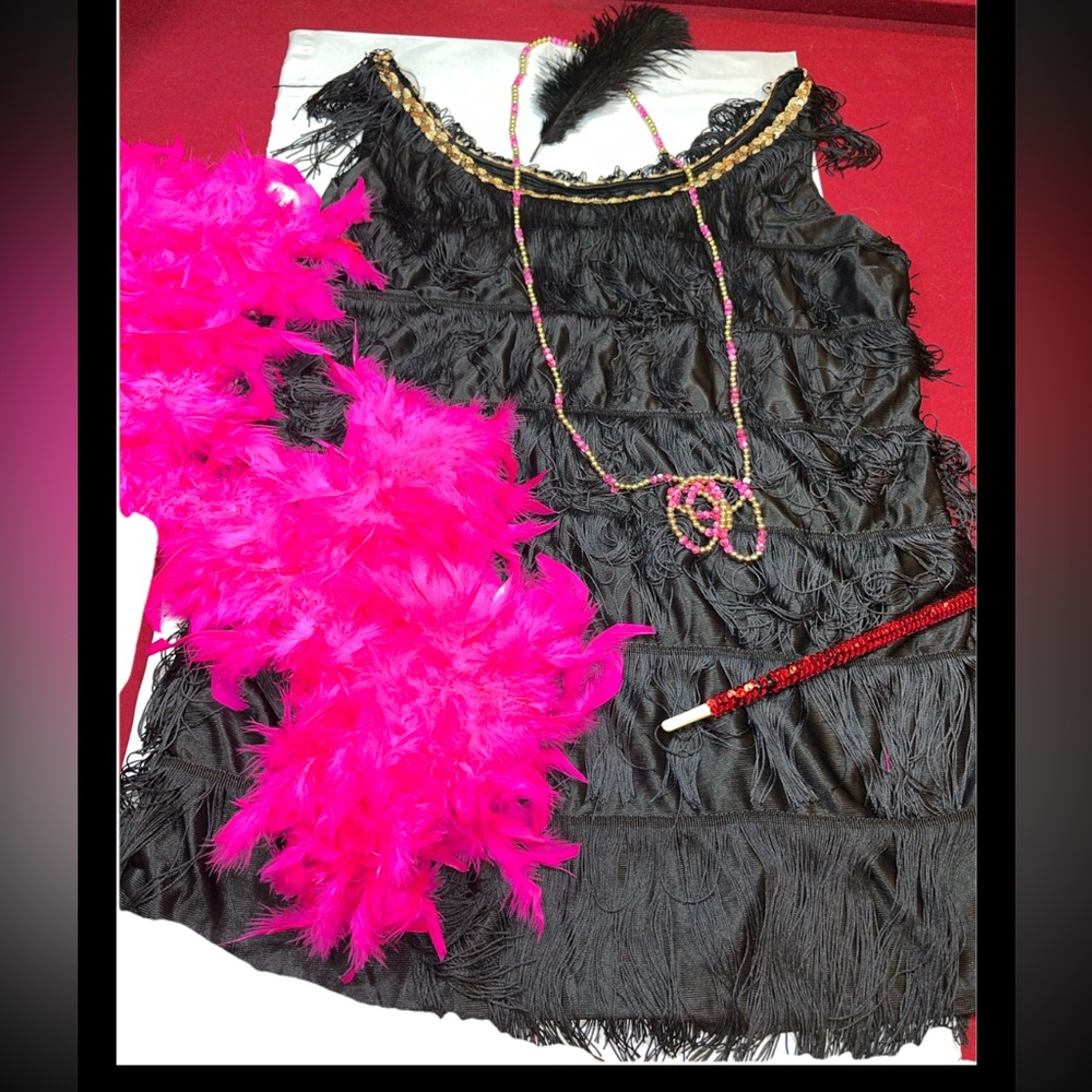 FLAPPER black fringe DRESS Pink Boa long Necklace 4 Pc. COSTUME, plus size 14-18